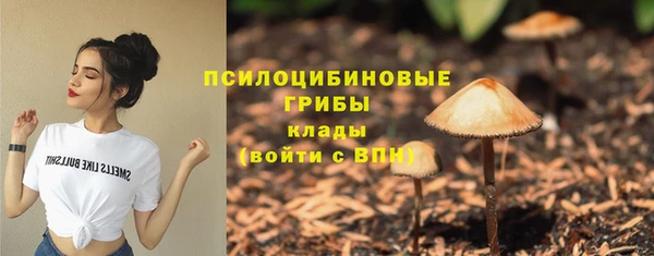 экстази Алексин