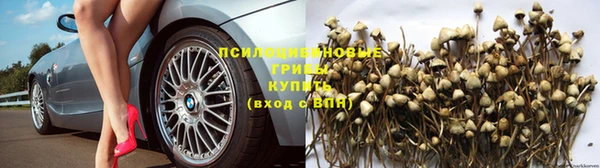 каннабис Алзамай