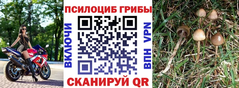 Галлюциногенные грибы MAGIC MUSHROOMS  Ивдель 
